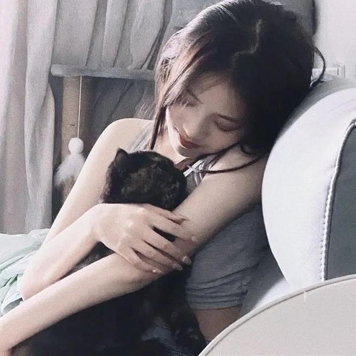 猫儿历险记国语